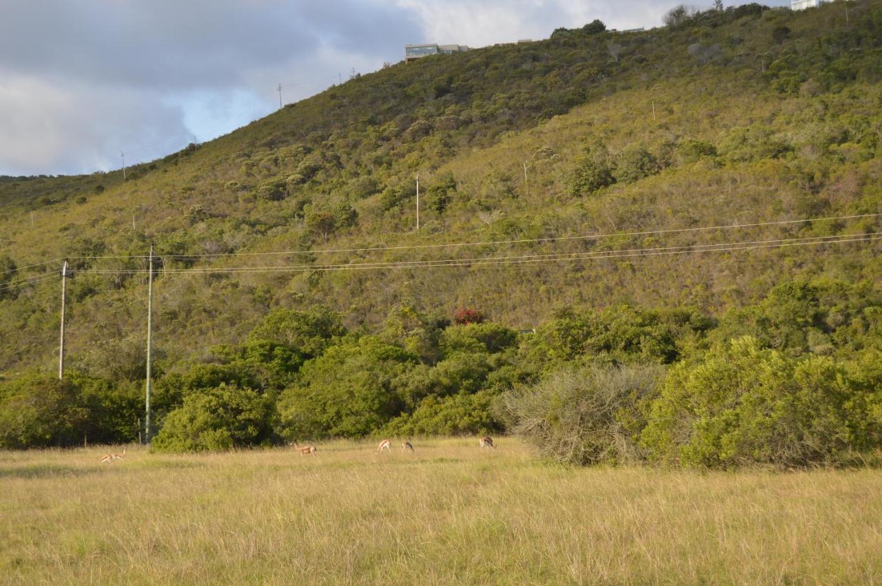 Matjesfontein Estate Keurbooms Chalet بليتنبيرغ باي المظهر الخارجي الصورة